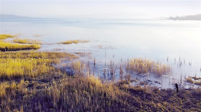 上海闵行区浦江房价（上海闵行区房价）